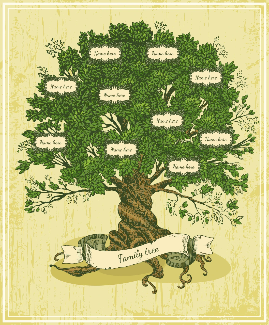 Tipos de árbol genealógico: cuál es el mejor para tu propósito - Pro-corp